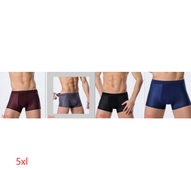 Leon – Atmungsaktive Herrenunterwäsche aus Eissilk mit Mesh