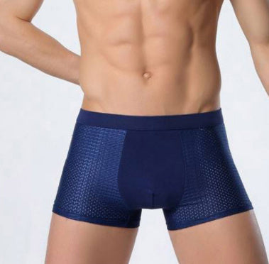 Leon – Atmungsaktive Herrenunterwäsche aus Eissilk mit Mesh