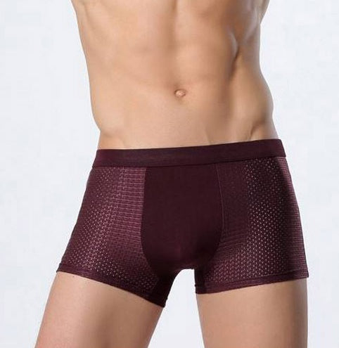 Leon – Atmungsaktive Herrenunterwäsche aus Eissilk mit Mesh