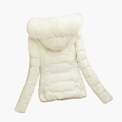 Damen Winter Steppjacke mit Kapuze und Fellkragen – Modischer Outdoor Mantel