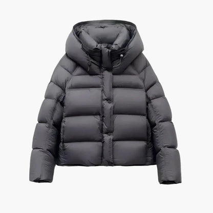 Damen Winter Steppjacke mit Kapuze – Stilvolle Übergangsjacke für kalte Tage