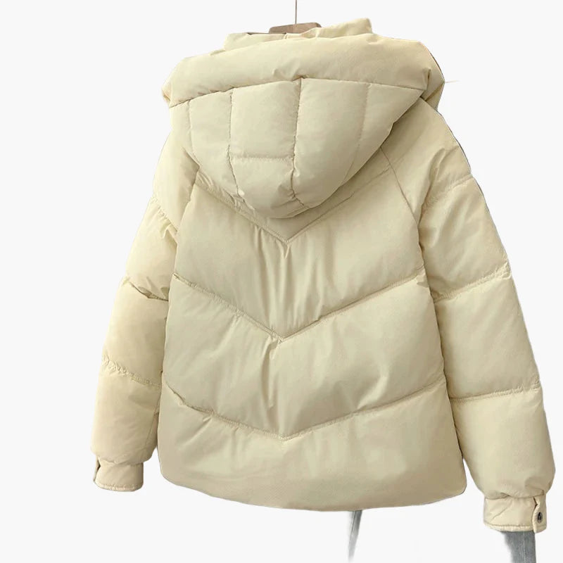 Damen Winterjacke Steppjacke Freizeit Stil, Warm und Lässig, Ideal für Alltag und Reisen