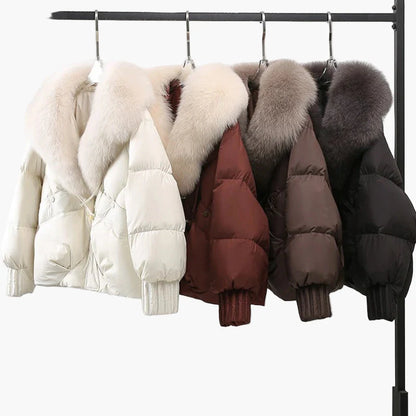 Damen Winterjacke mit großem Kragen – Elegante warme Steppjacke für Freizeit und Alltag