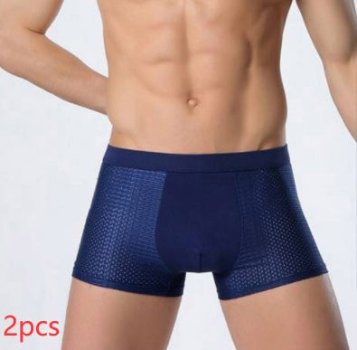 Leon – Atmungsaktive Herrenunterwäsche aus Eissilk mit Mesh
